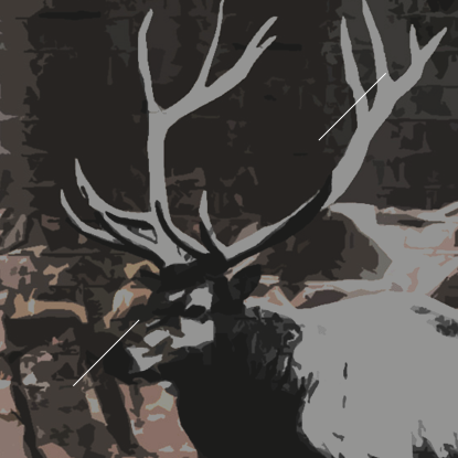 Footer Logo